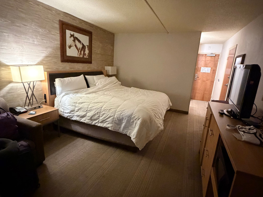 Holiday Inn 斯皮尔菲什的会展中心主图