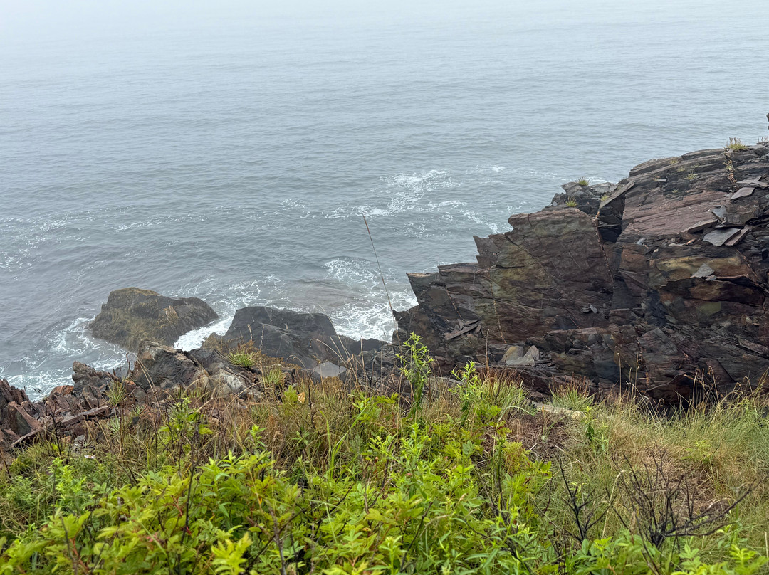 The Ovens Park-Feltzen South必去景点