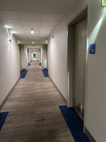 埃弗里特智选假日套房酒店-旅行者