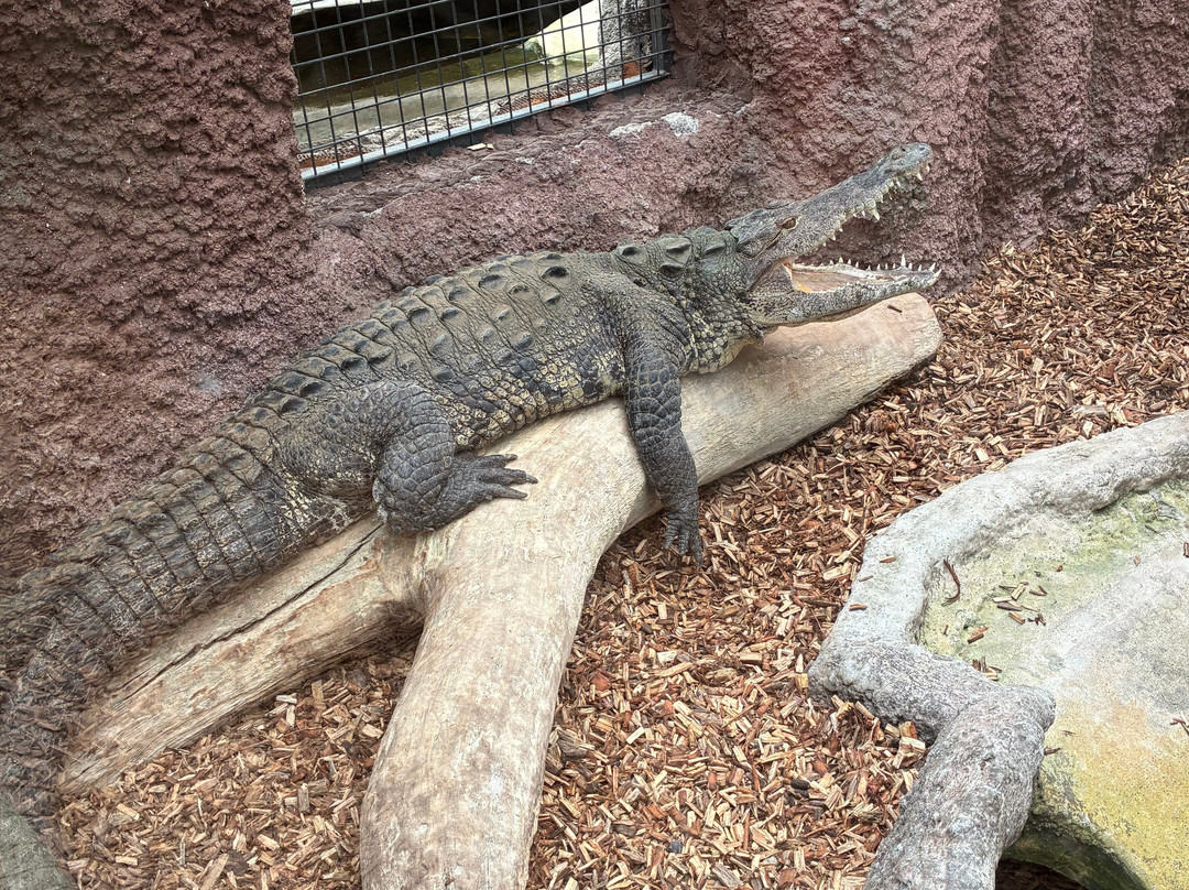 Krokodille Zoo-Eskilstrup必去景点
