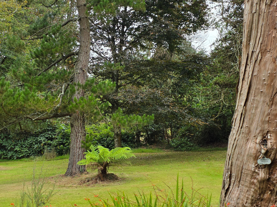 Logan House Gardens-Port Logan必去景点