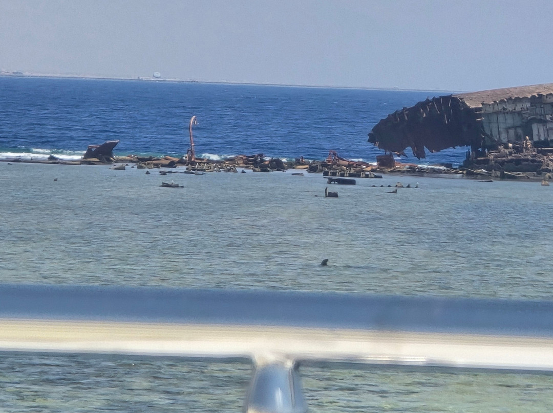 Tiran Island-Tiran Island必去景点