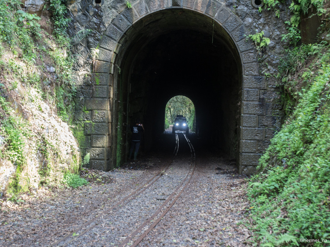 Túnel Ferroviario De Pinheiro Preto-Pinheiro Preto必去景点