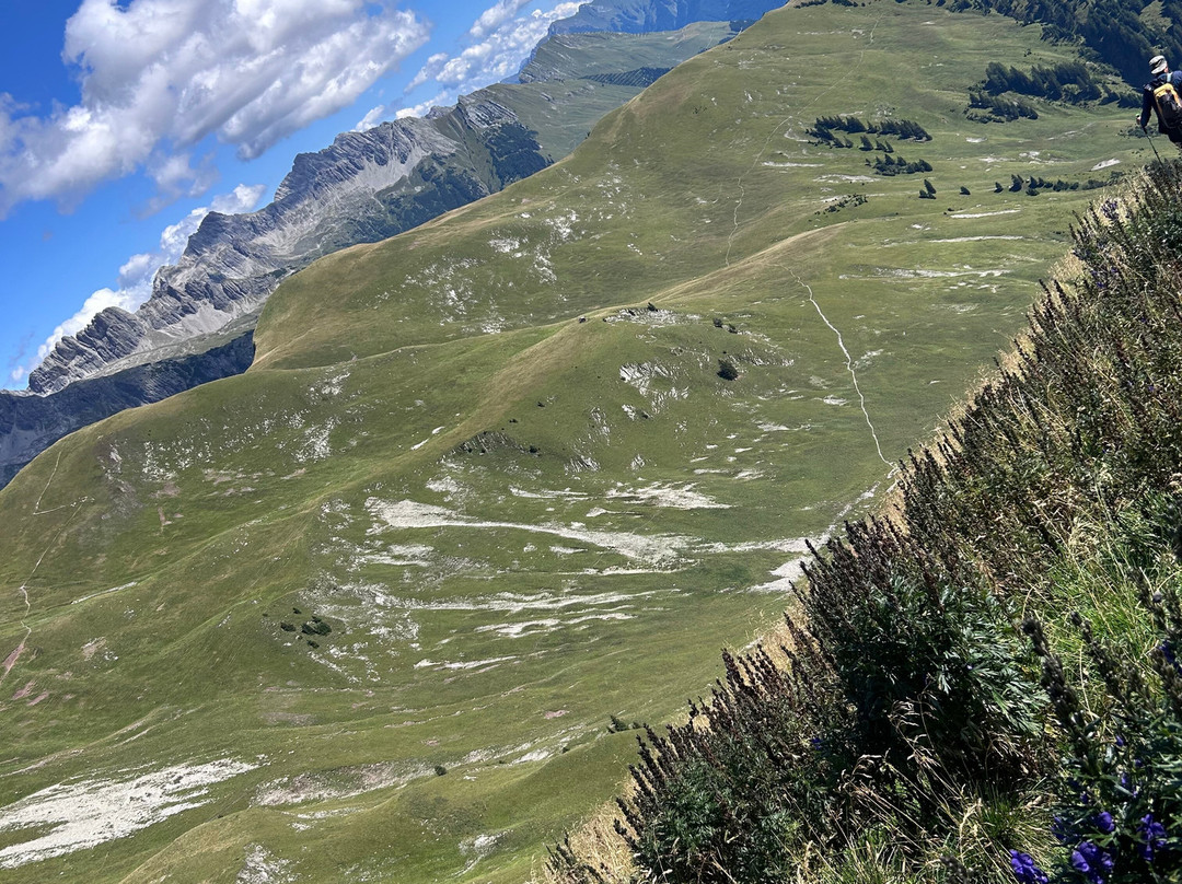 Gasthof Alpenhof主图