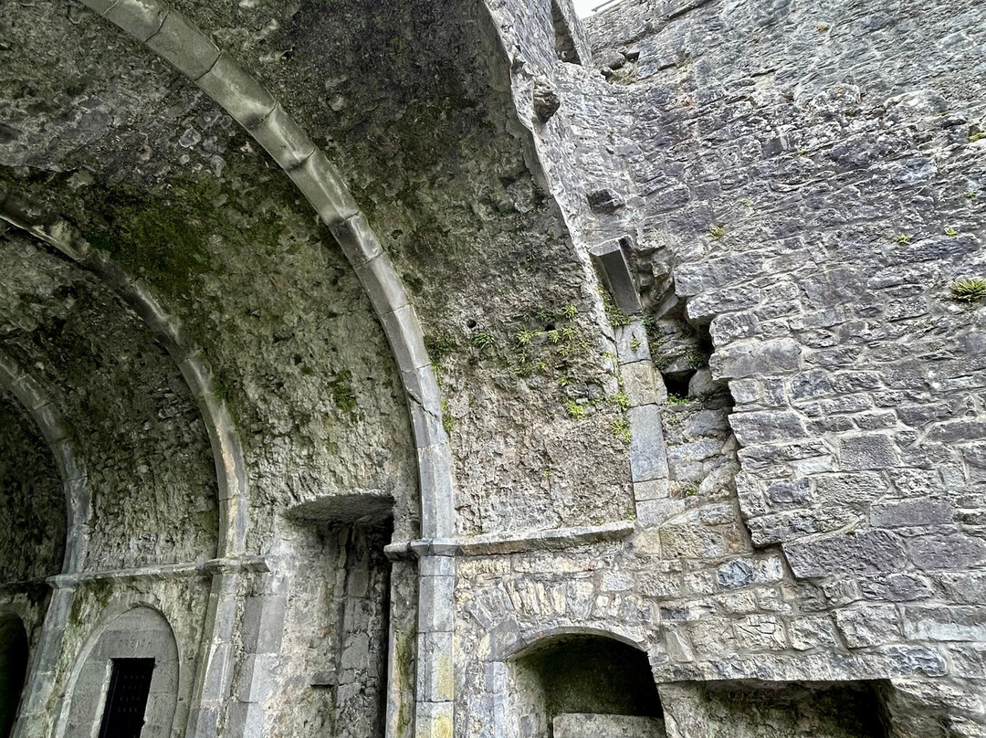 Ennis Friary-恩尼斯必去景点