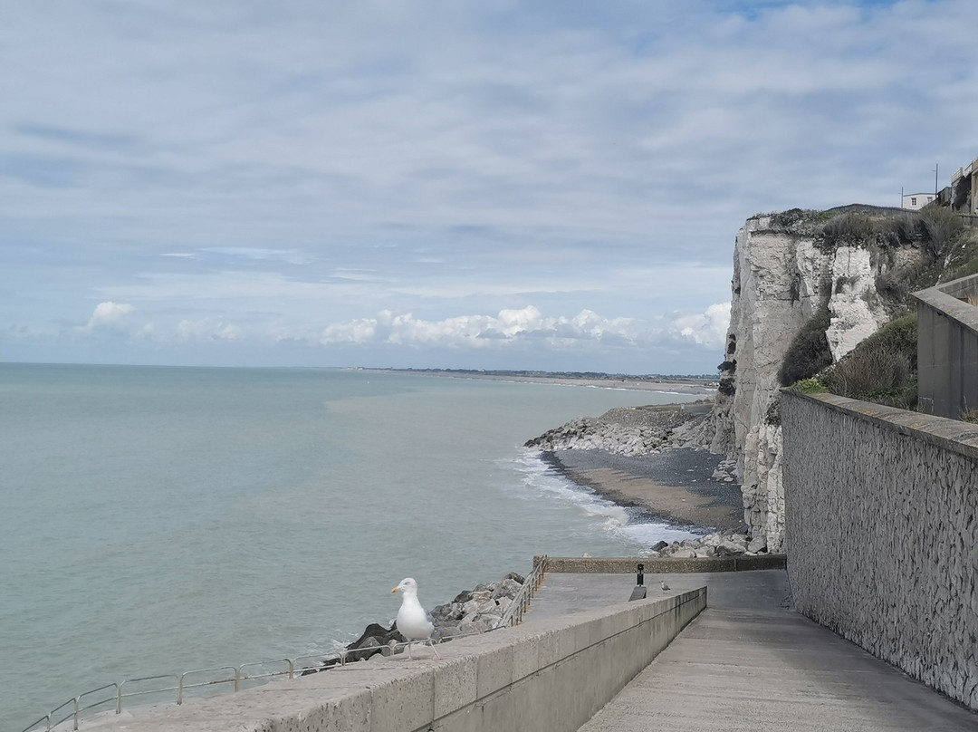 Beach of Bois de Cise-Ault必去景点