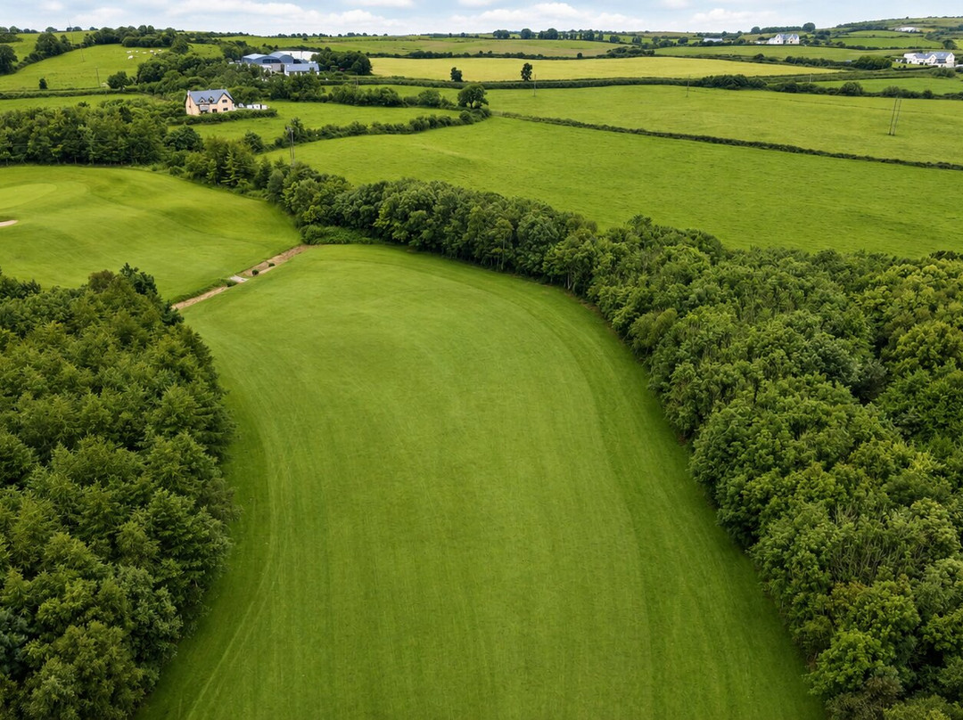 Kilrush Golf Club-Kilrush必去景点