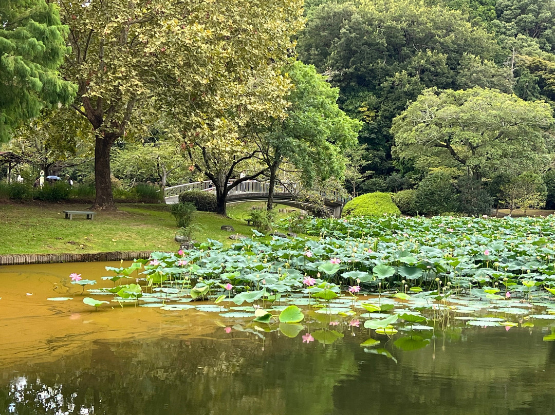 Hamamatsu Castle-滨松市必去景点