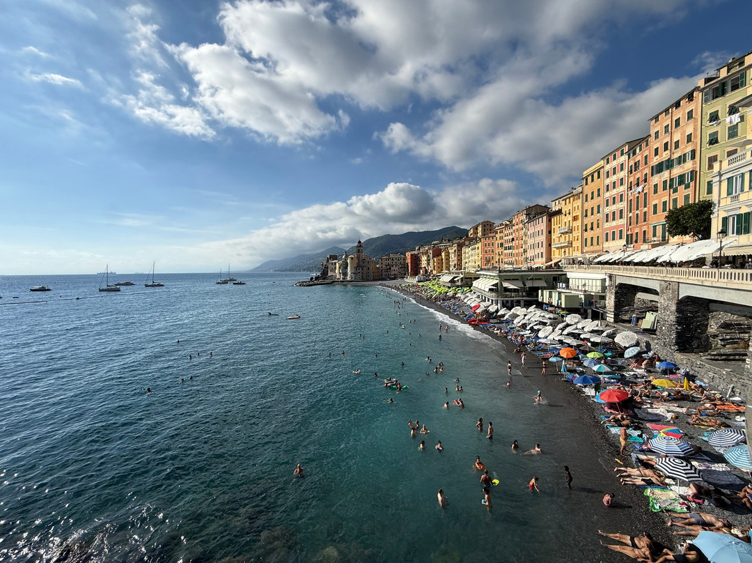 Camogli - San Rocco - Punta Chiappa Trail-卡莫利必去景点