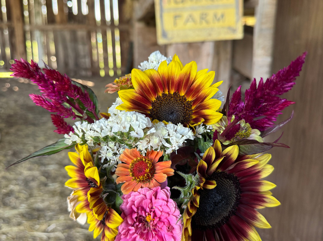 Bremer Produce U-Pick Flower Farm-Hudsonville必去景点