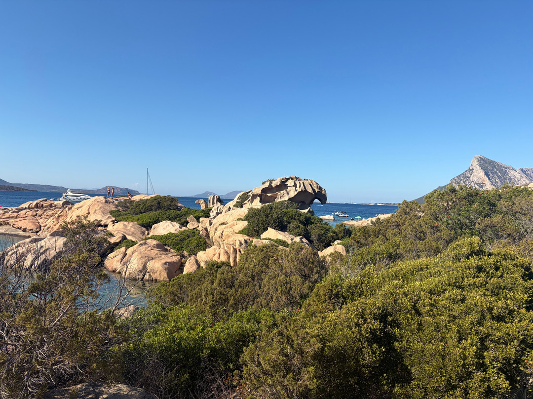 Spiaggia Delle Vacche-Baia Sardinia必去景点
