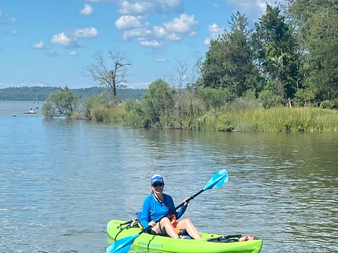 Mallows Bay-Potomac River National Marine Sanctuary-Nanjemoy必去景点