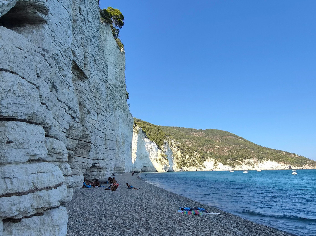 Spiaggia di Vignanotica-维耶斯泰必去景点