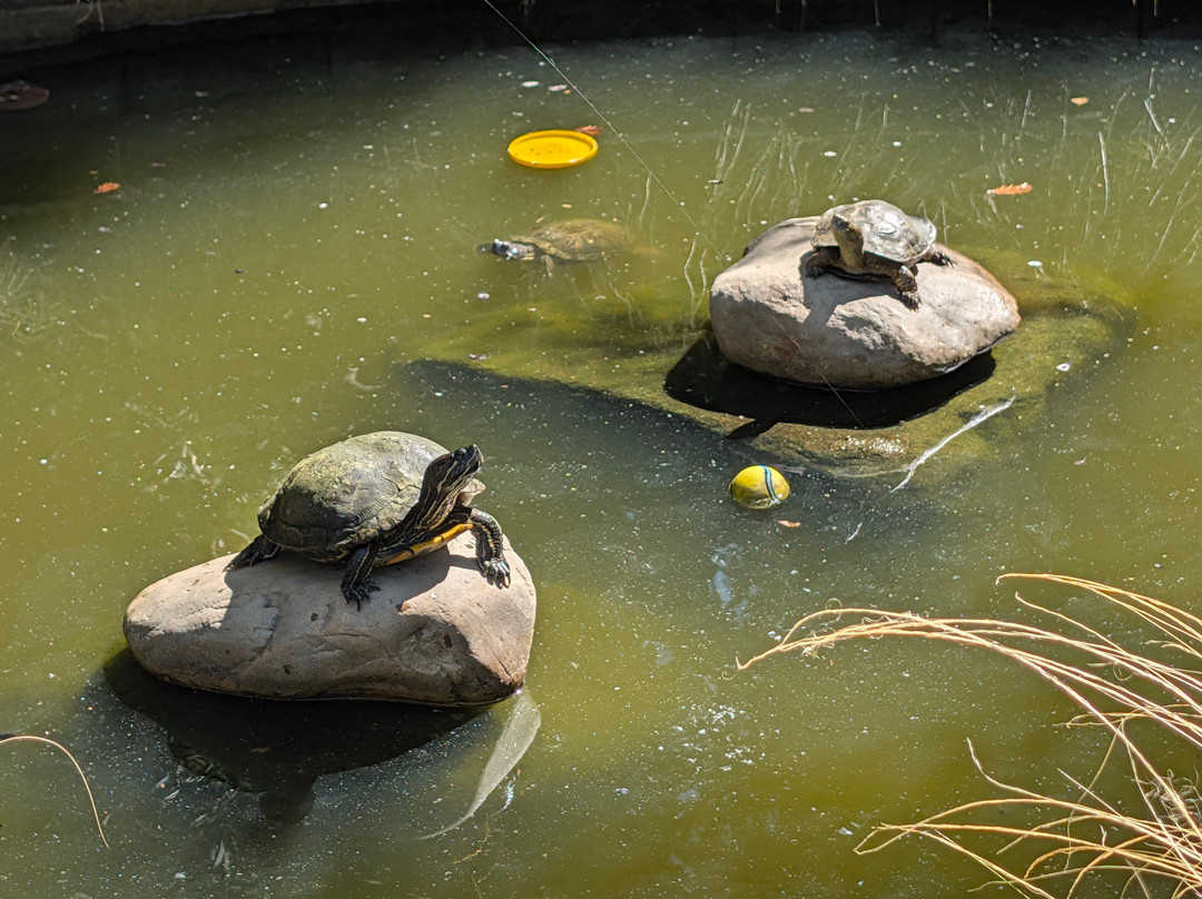 Turtle Bay Exploration Park-雷丁必去景点