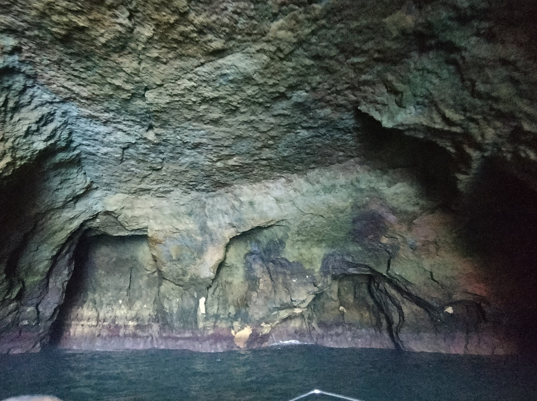 Aurora Boat Trips-阿玛考德佩拉必去景点