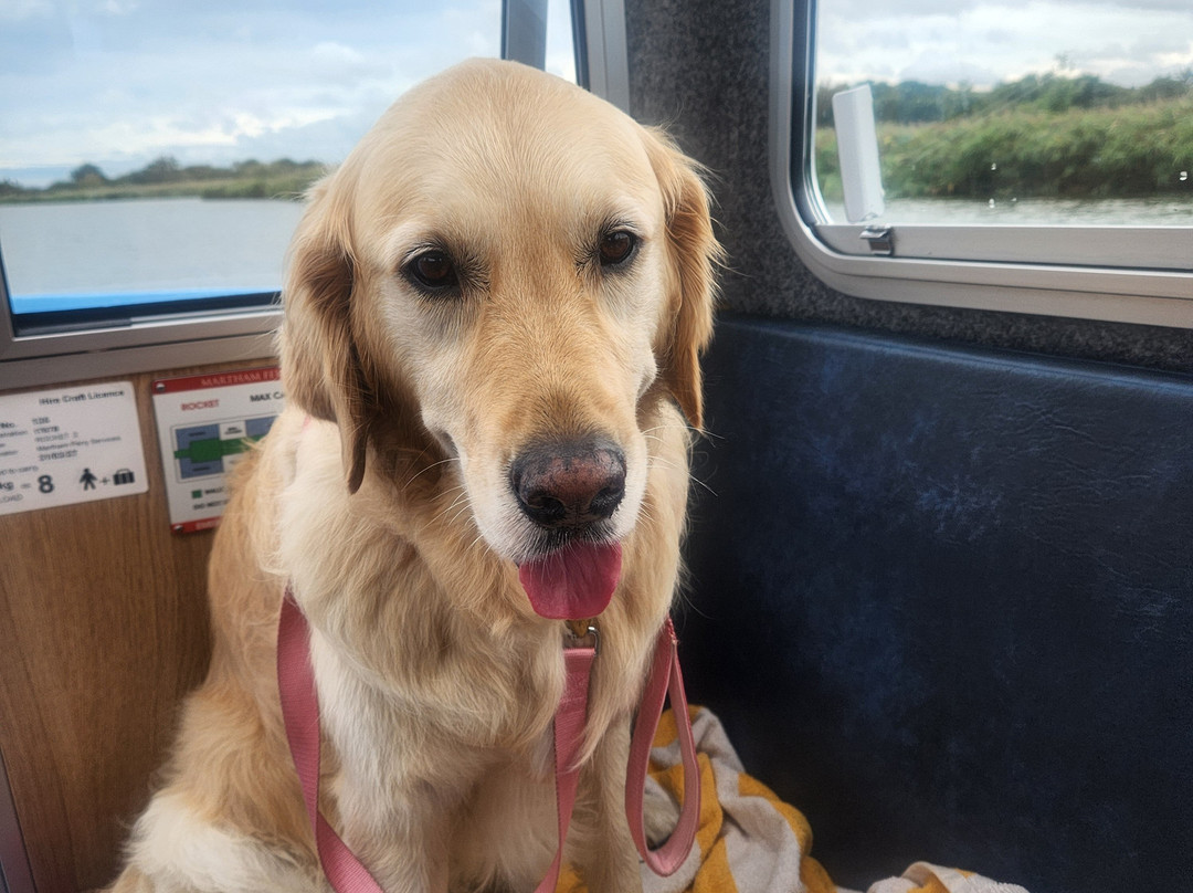 Martham Ferry Day Boat Hire-Martham必去景点