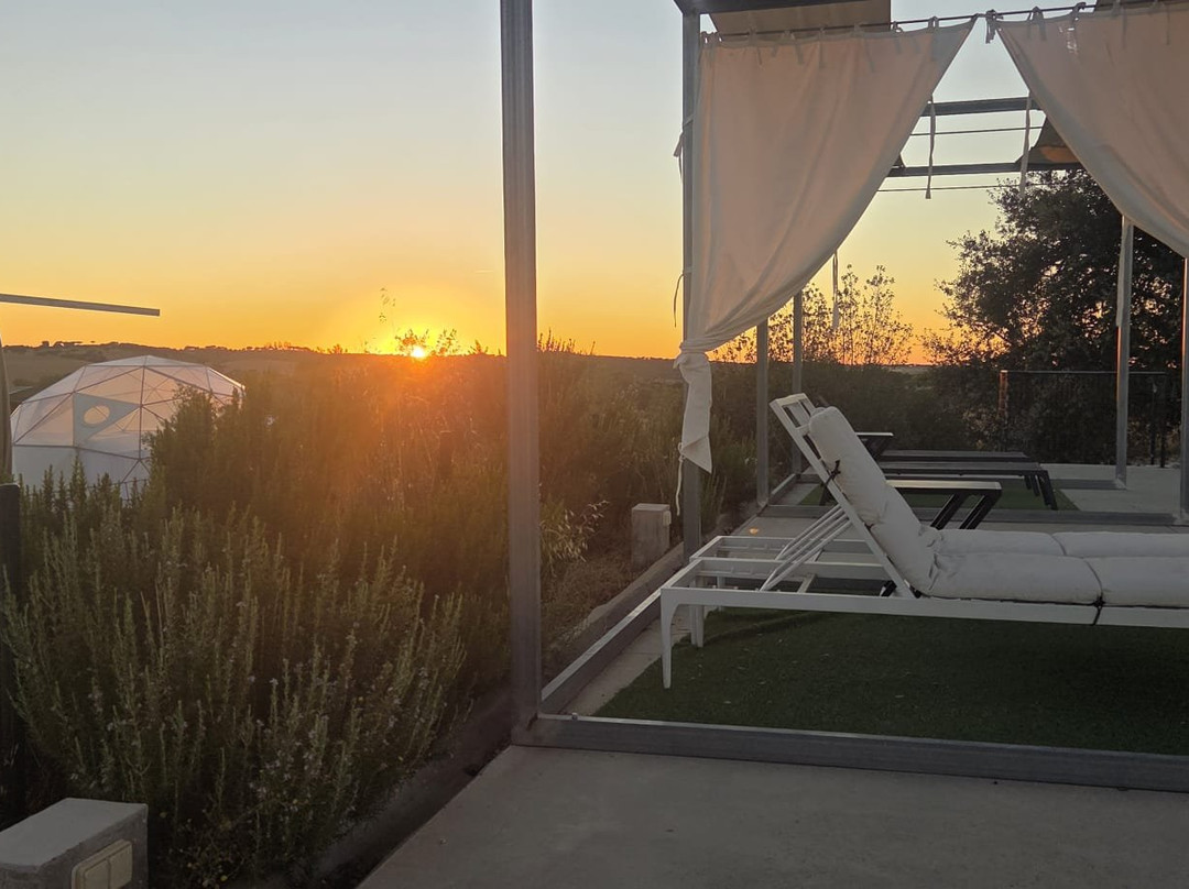 Glamping Skies
