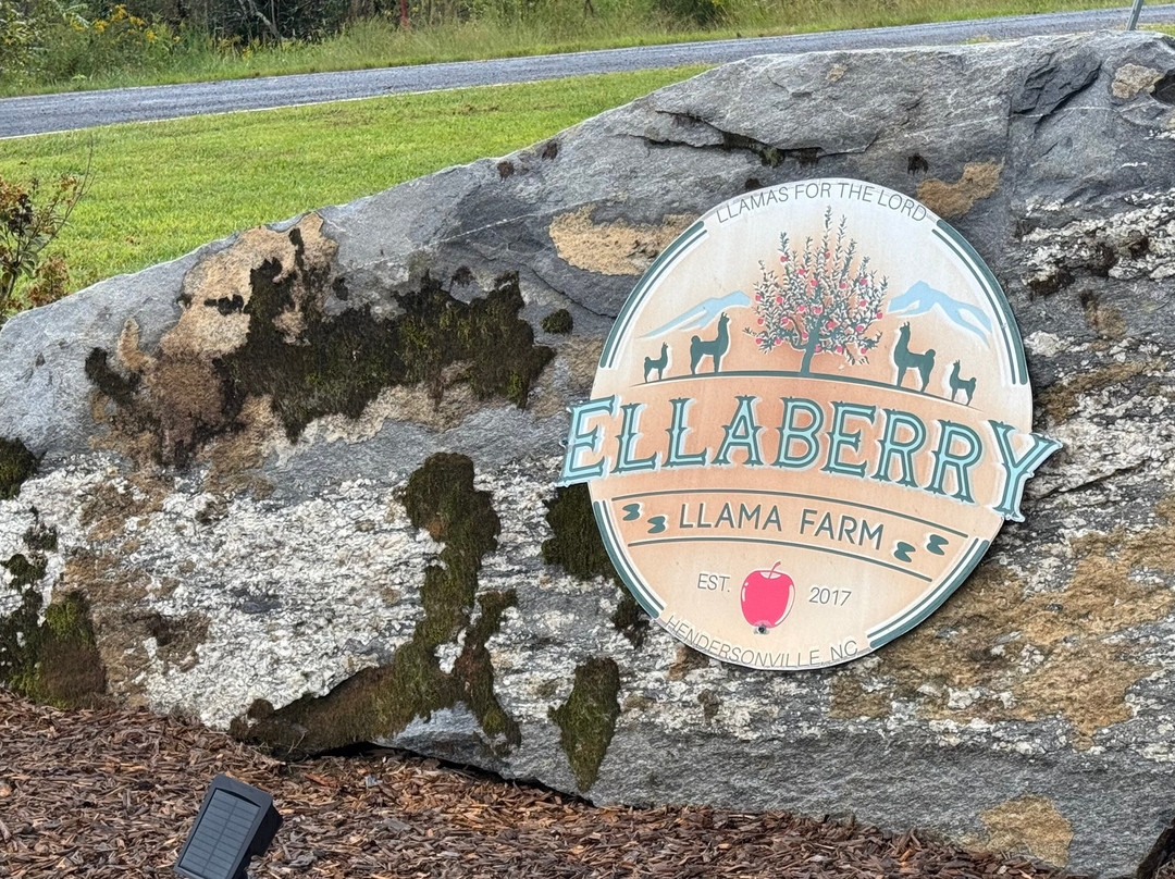 Ellaberry Llama Farm-亨德森维尔必去景点