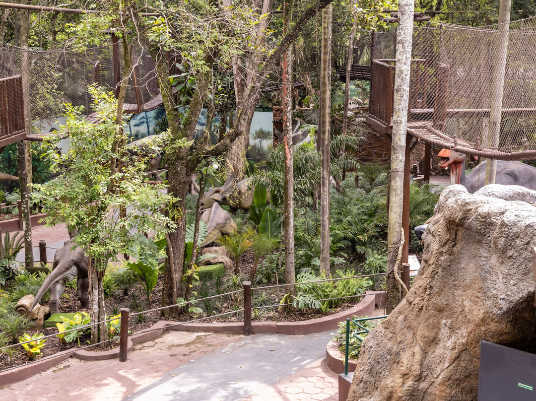 Zoologico De Sao Paulo-圣保罗必去景点