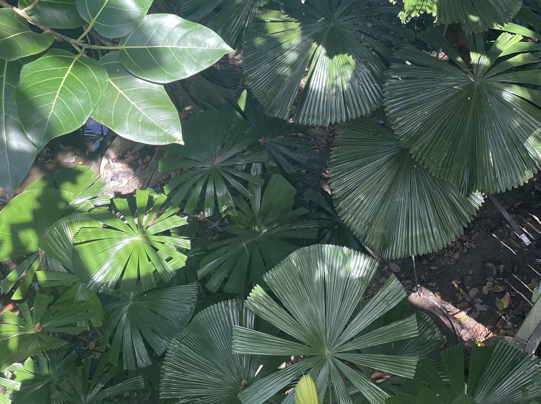 Wildlife Habitat Port Douglas-道格拉斯港必去景点
