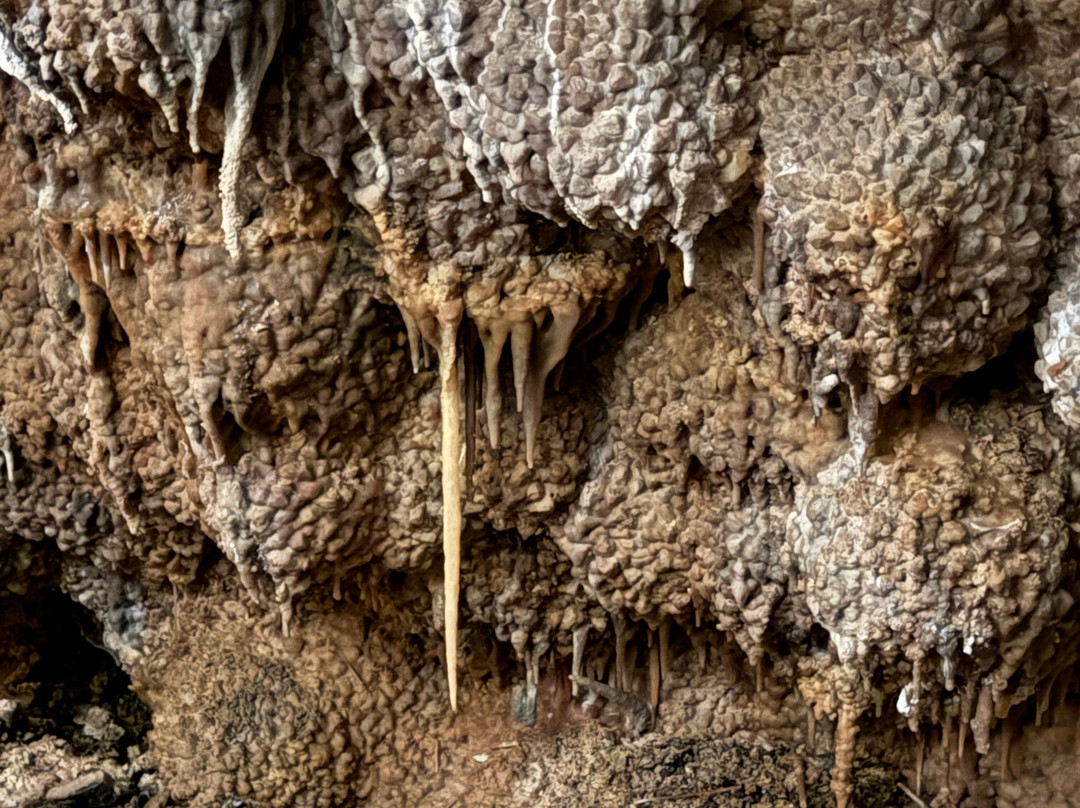 Jewel Cave National Monument-卡斯特必去景点