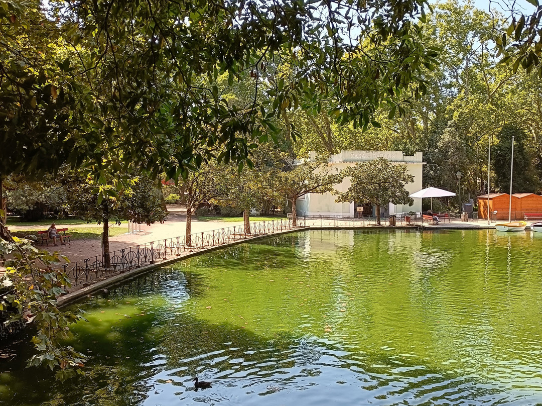 Parque Dom Carlos I-Caldas da Rainha必去景点