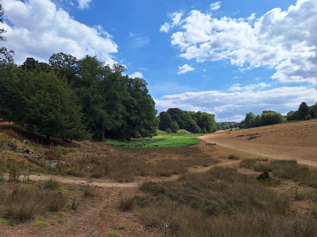 Knole Park-Sevenoaks必去景点