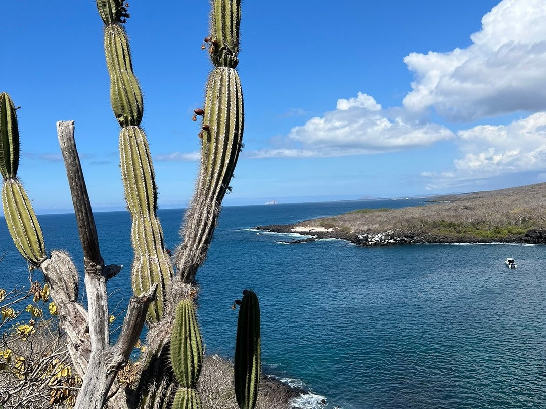 Cerro Tijeretas-Puerto Baquerizo Moreno必去景点