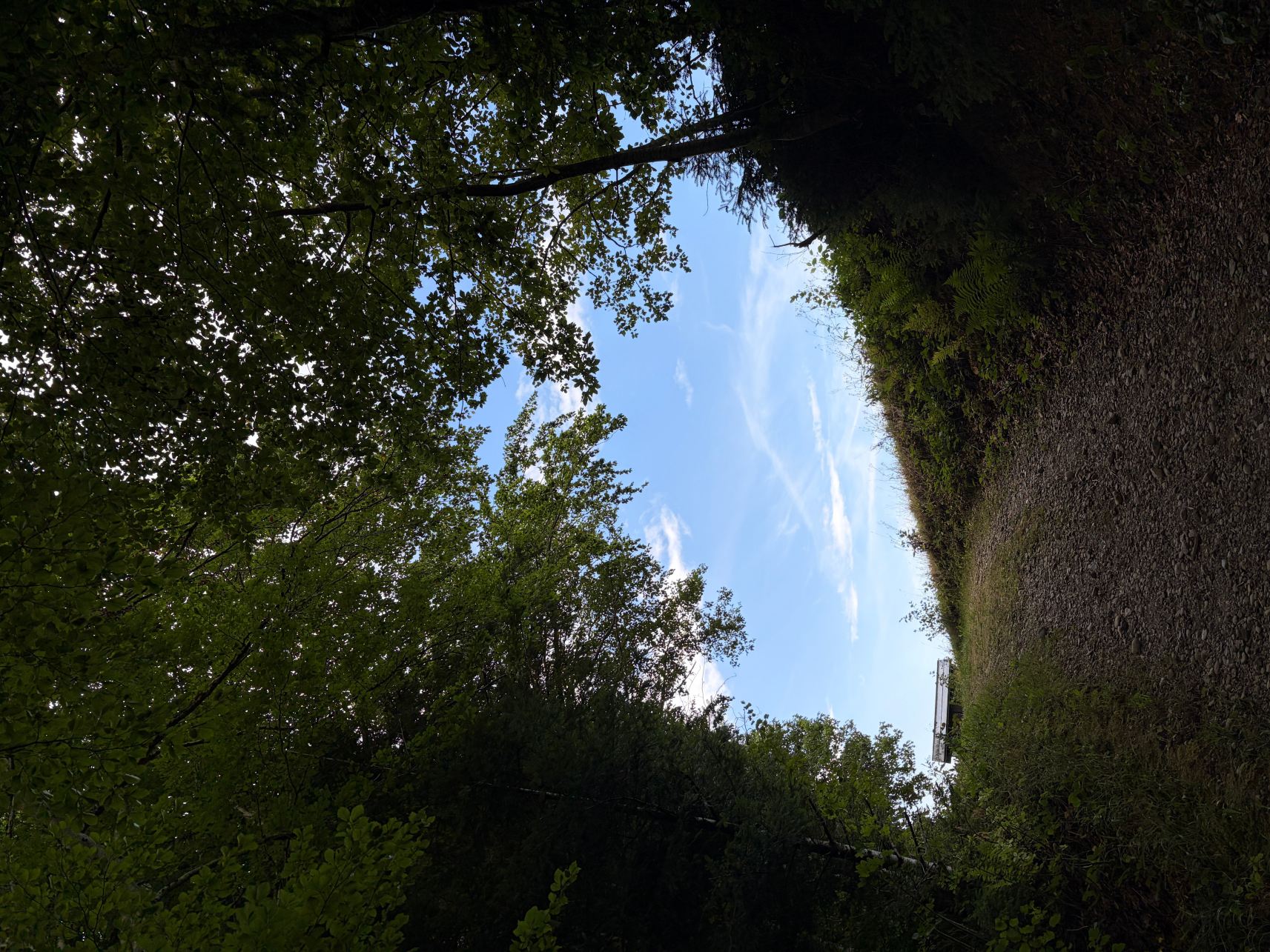Haubers Naturresort-旅行者