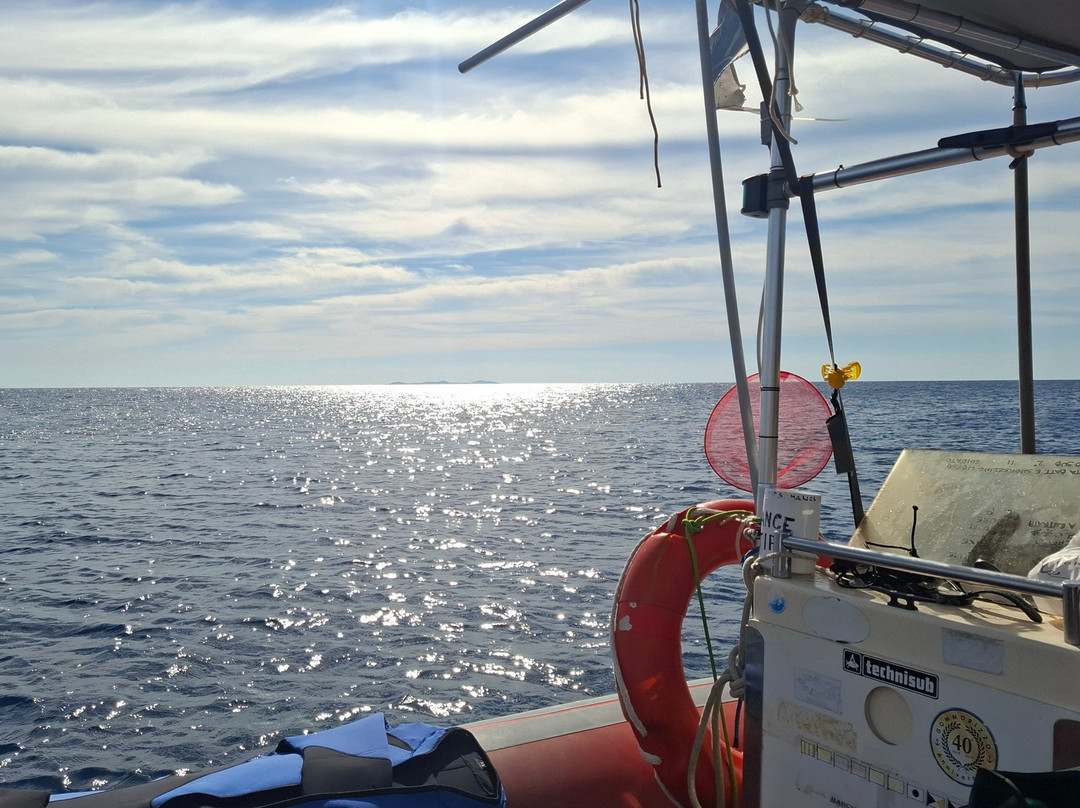 Max Shark Diving-Isola del Giglio必去景点