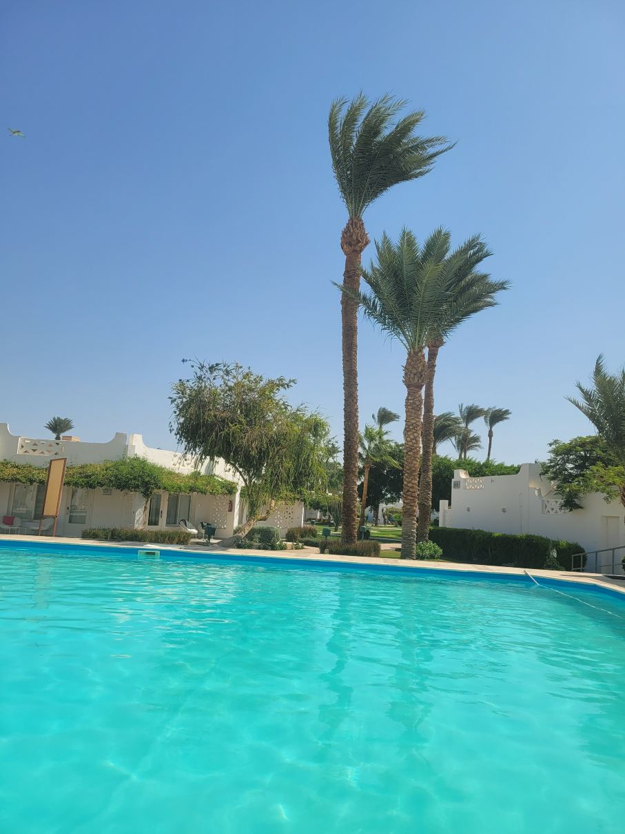 Shams Lodge for Watersports-旅行者