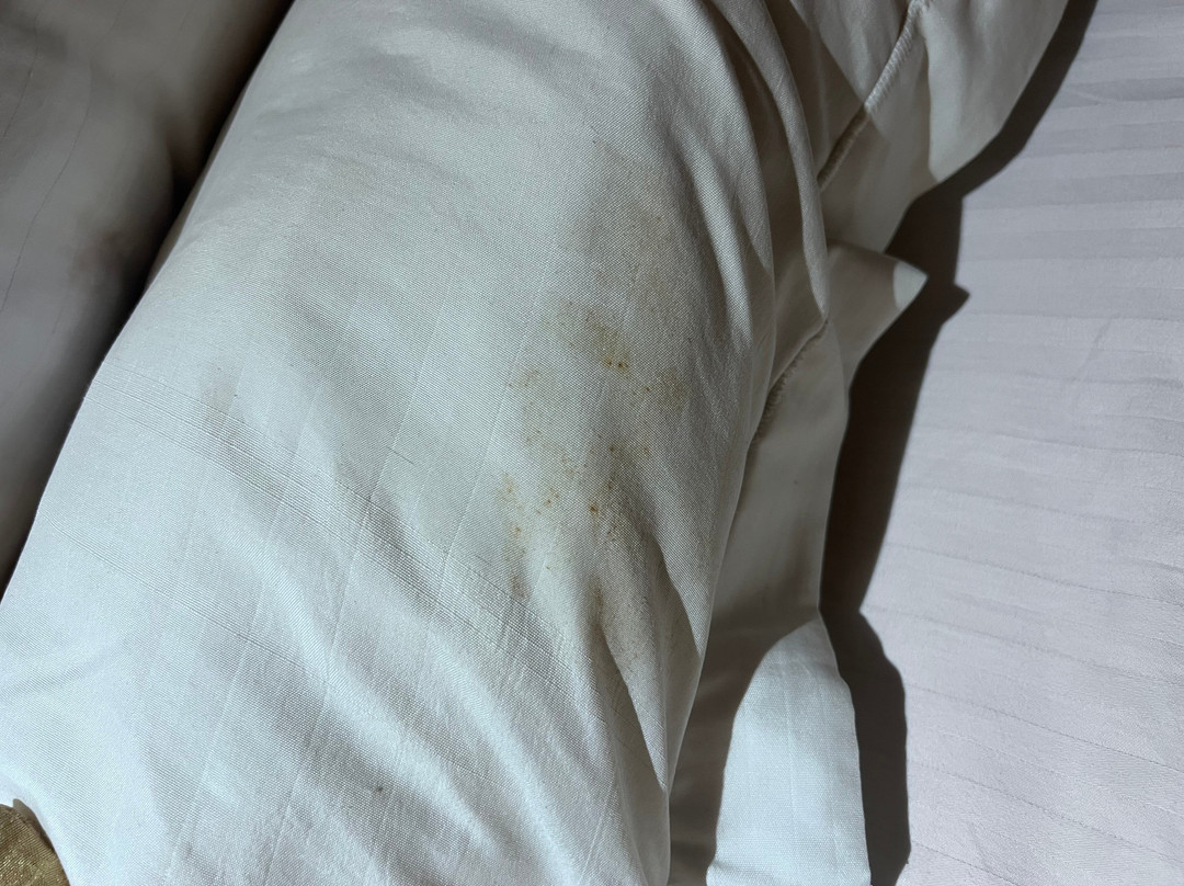 达尔豪西獒酒店主图
