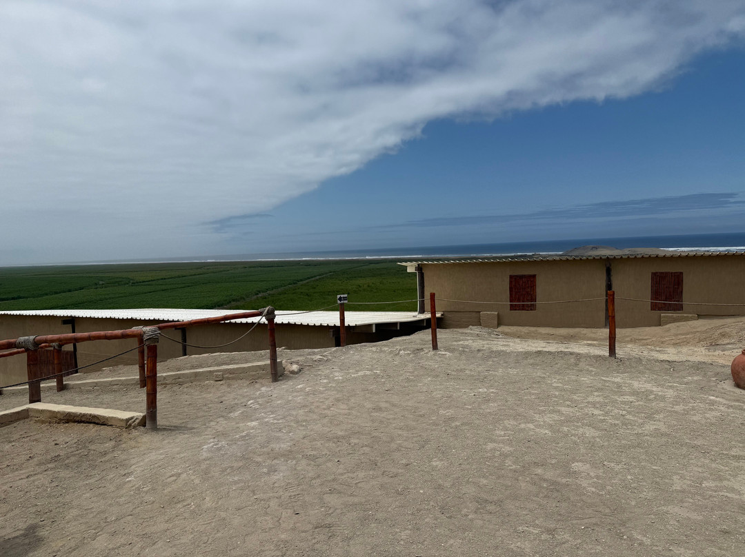 Complejo Arqueologico El Brujo - Museo Cao-特鲁希略必去景点