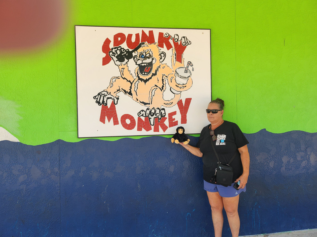 Spunky Monkey