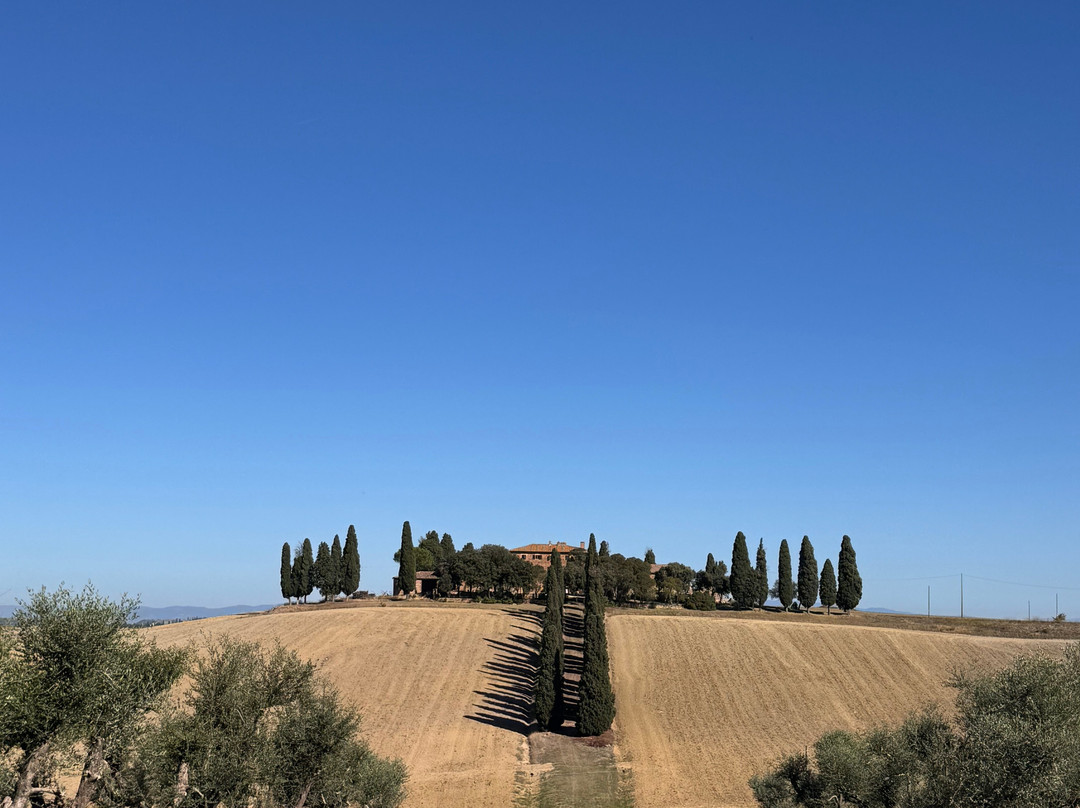 Tuscany Tours by Golden Travel-泰拉诺瓦布拉乔利尼必去景点