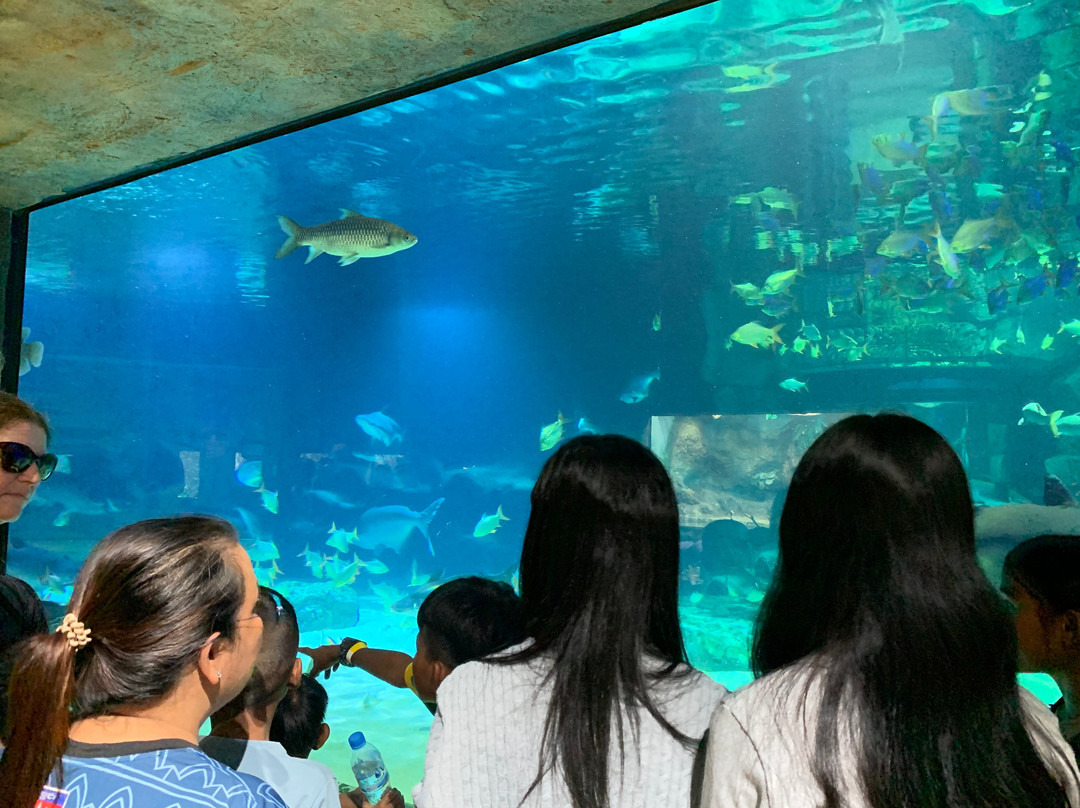 Angkor Wildlife & Aquarium-暹粒必去景点