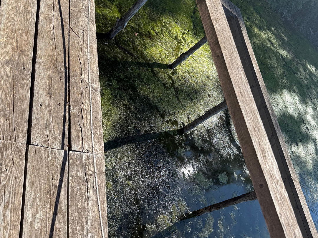 Laghi Nabi - Oasi Naturale主图