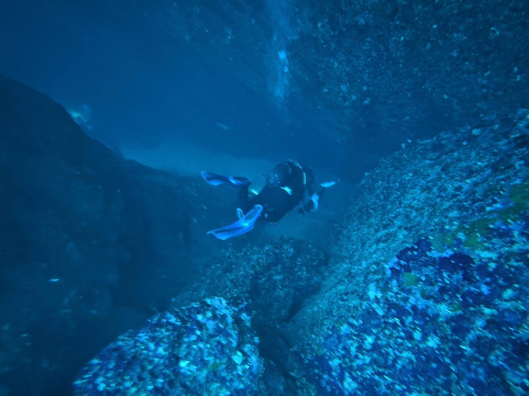 Lustrica diving-Ustica必去景点