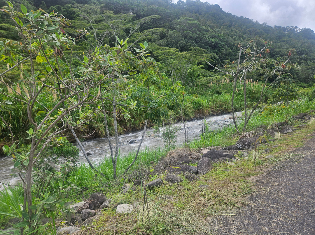 Retire in Panama Tours | Move to Panama | Panama Relocation Experts-波魁特必去景点