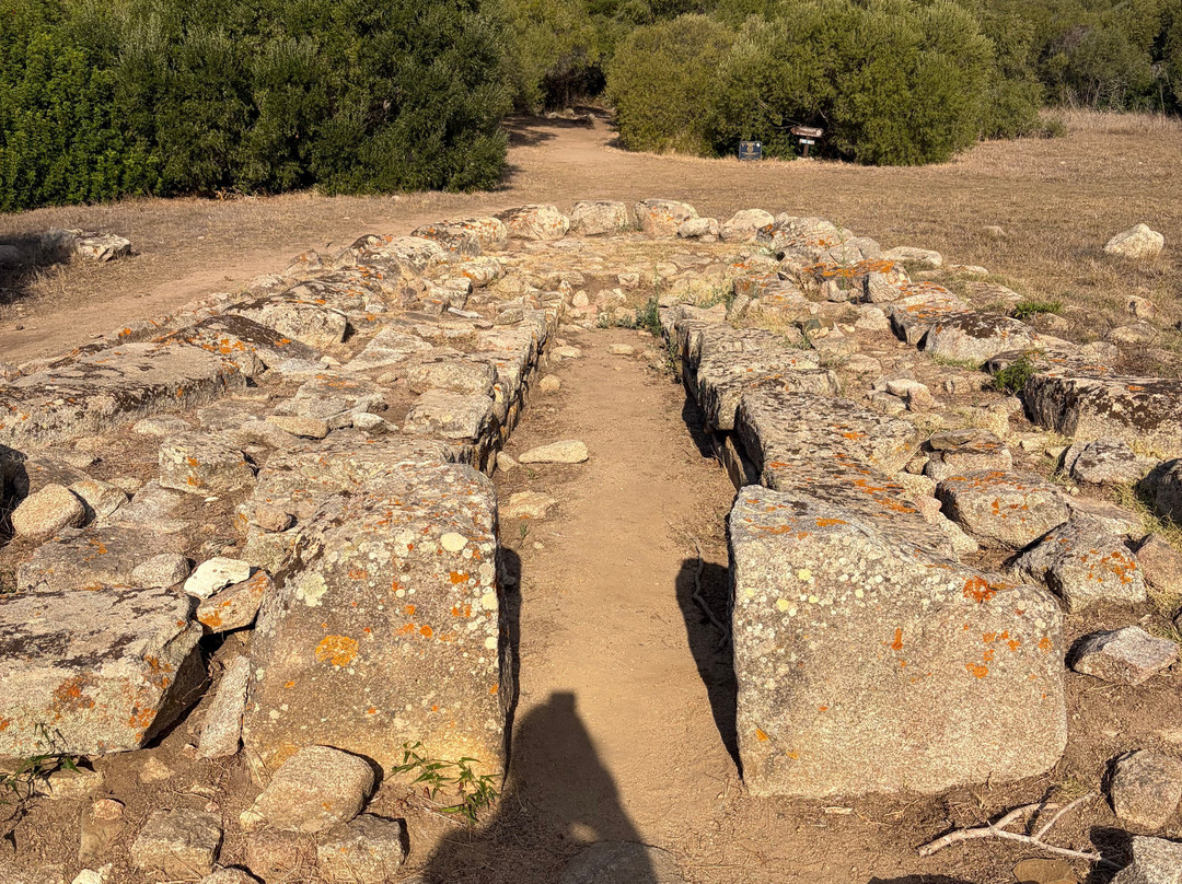 Sito archeologico Lu Brandali-圣特雷莎加卢拉必去景点