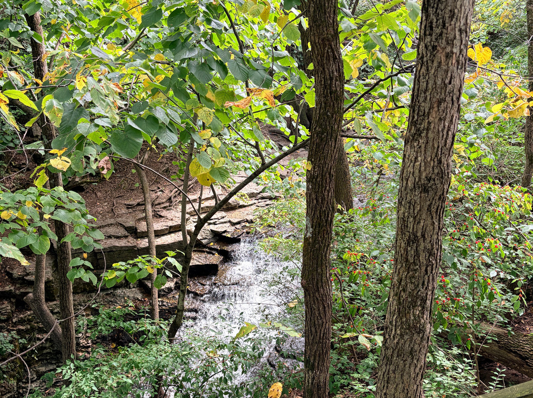 Indian Run Falls-都柏林必去景点