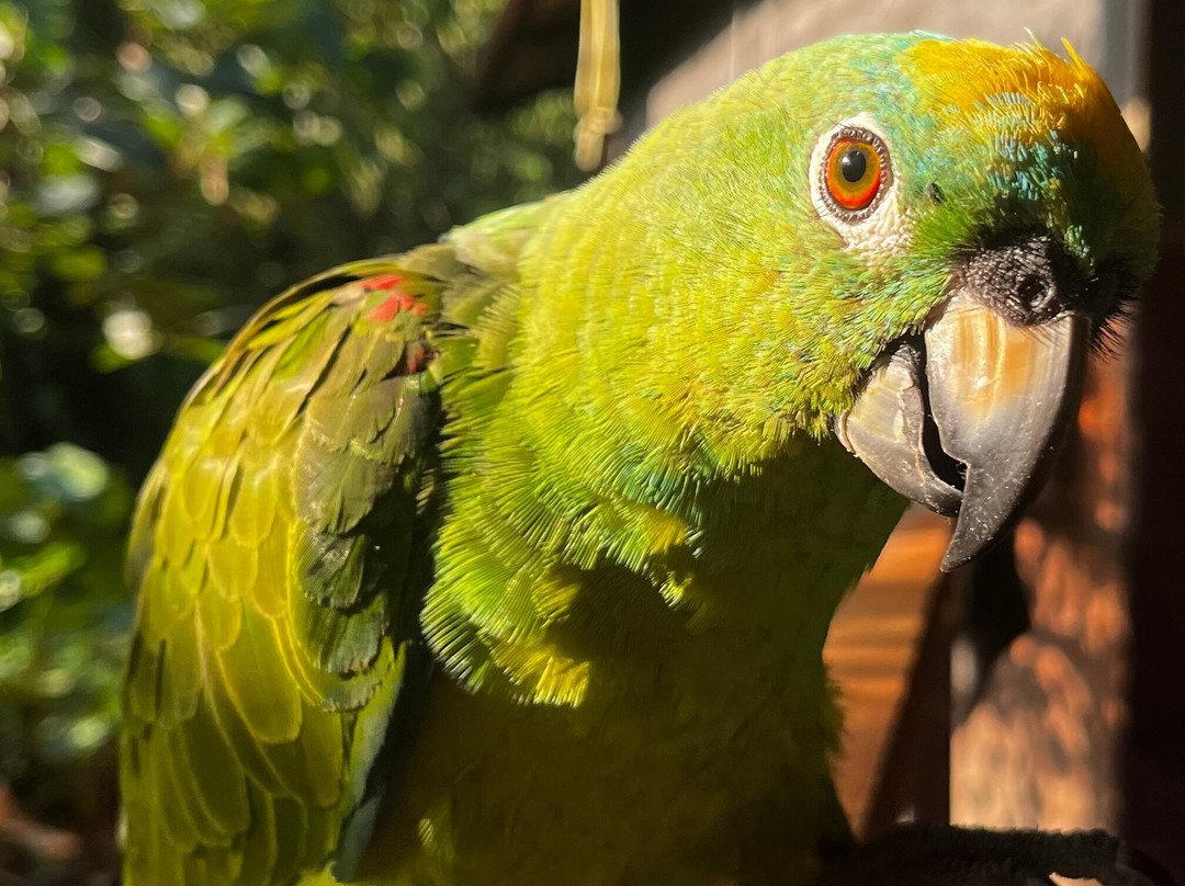 Peru Amazon Expeditions-Manu必去景点