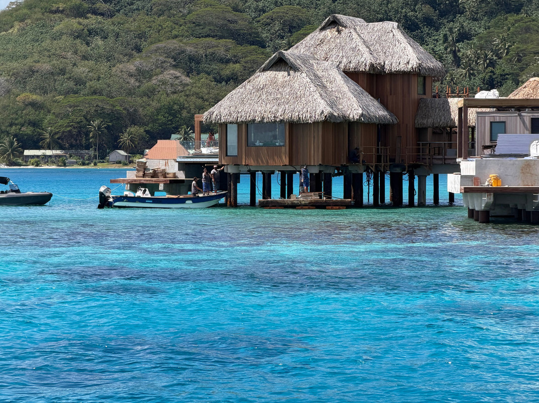 Croisiere Polynesie-波拉波拉岛必去景点