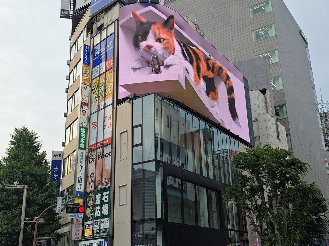 Giant 3d Cat Display Billboard-Shinjuku 3 Chome必去景点