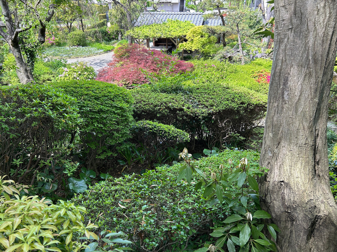 Yakushino Izumi Garden-板桥区必去景点