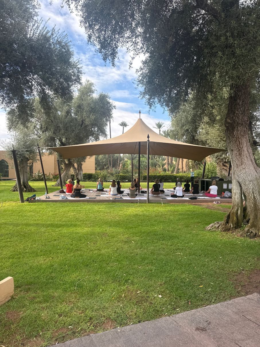 Club Med Marrakech la Palmeraie-旅行者