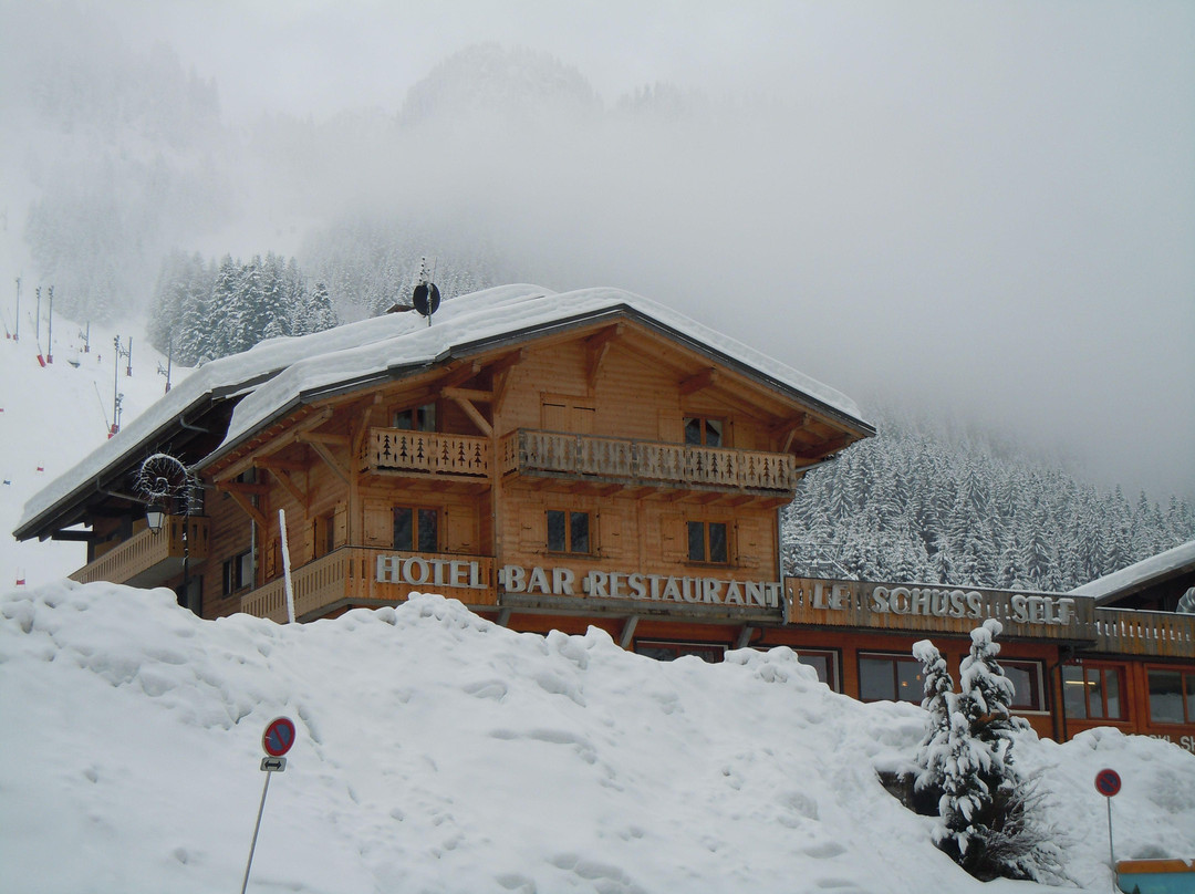 Hotel Le Schuss