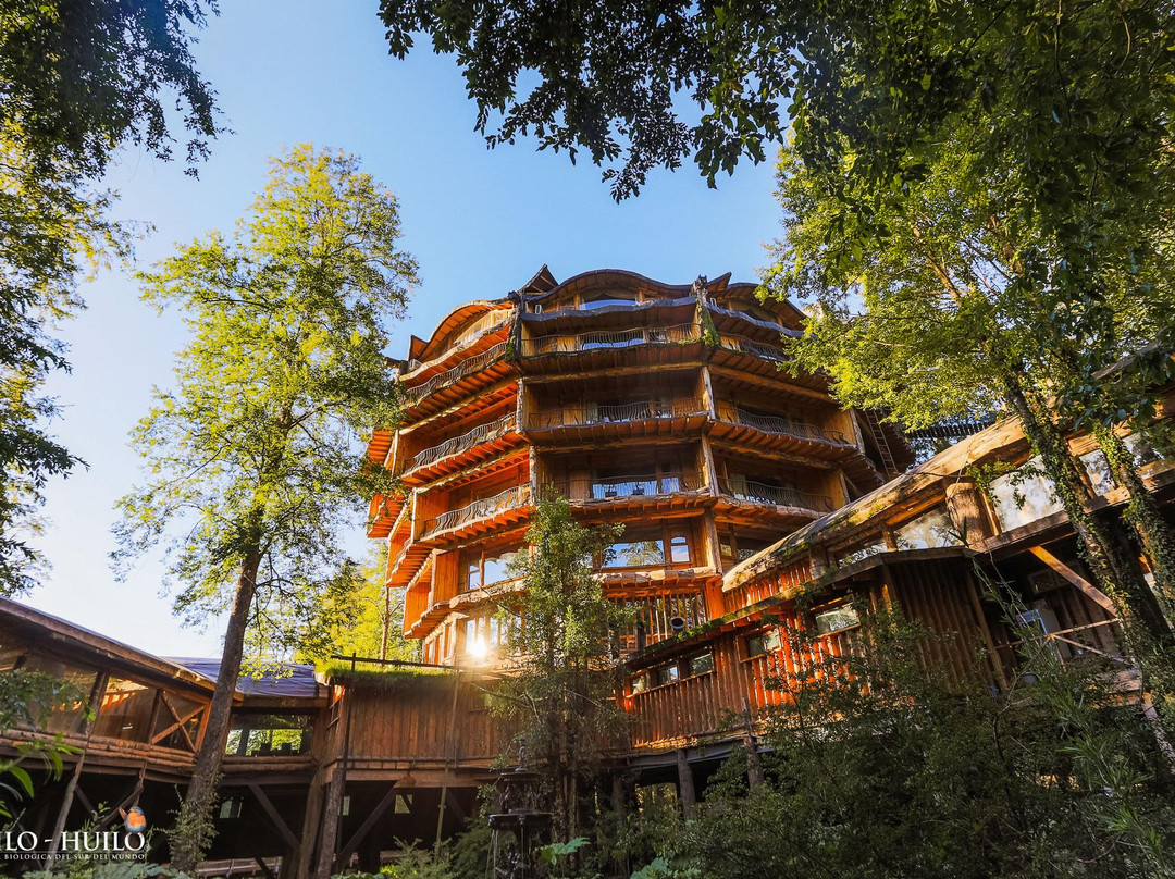 Huilo Huilo Nothofagus Hotel