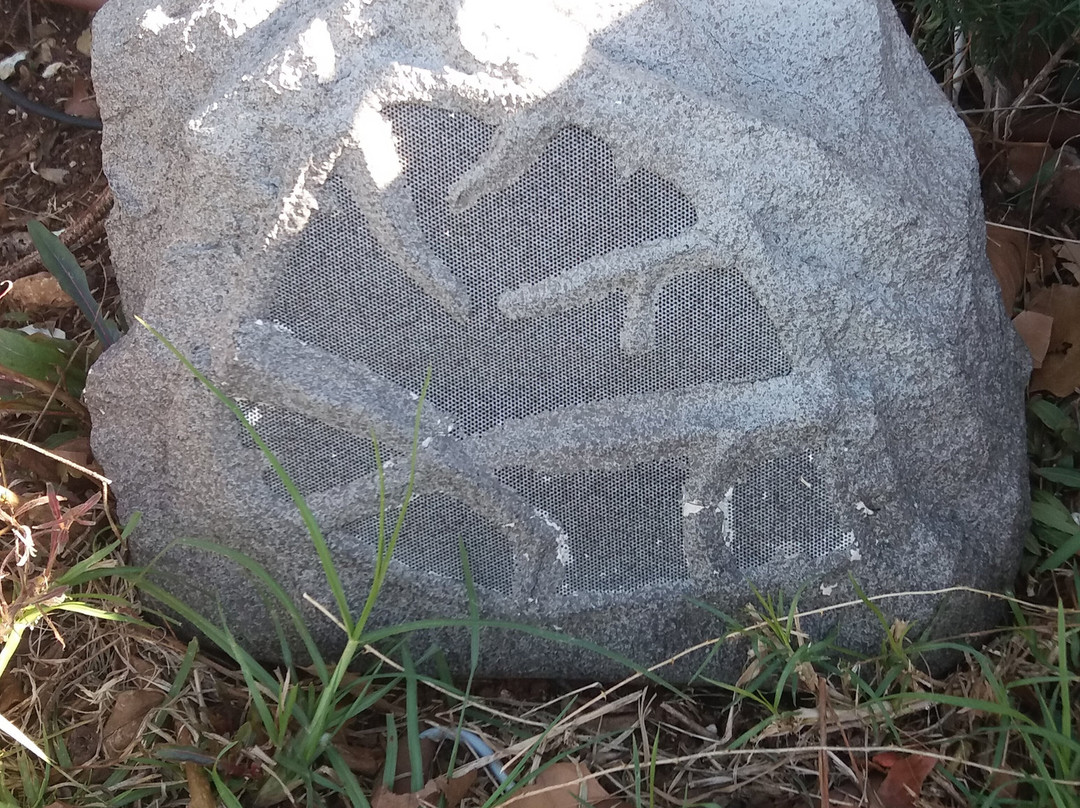 Gordonia Hotel主图