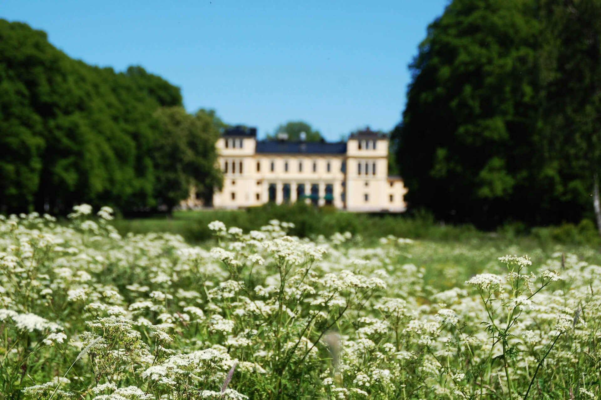 Ranas Slott-官方